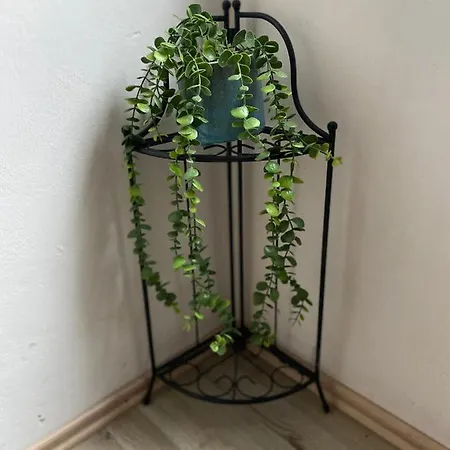 Apartment Primebnb Ferien- Und Montagewohnung