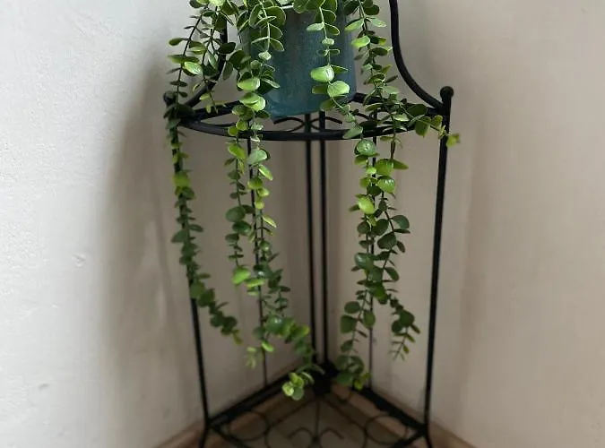 Apartment Primebnb Ferien- Und Montagewohnung